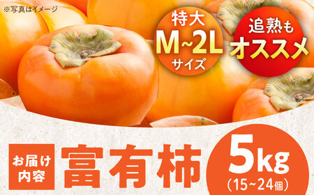 【先行予約】【11月初旬より順次発送】愛媛県産 富有（ふゆう）柿 Mから2Lサイズ 約5kg 箱入（15から24玉） 愛媛県大洲市/沢井青果有限会社 [AGBN023]柿かき果物柿かき果物柿かき果物柿