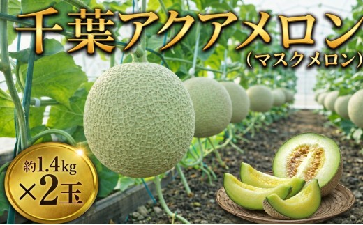 メロン 通年発送 アクアメロン 約1.4kg × 2玉 メロン めろん 青肉 meron マスクメロン ますくめろん 果物 くだもの フルーツ ふるーつ サイズ 大玉 甘い 温室 温室メロン メロン めろん ジューシー 果肉 デザート おやつ 高糖度 アールスメロン 戸田メロン 千葉 東金