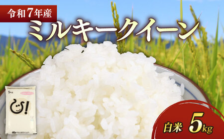 【新米】【白米】令和7年 彦根産 米 ミルキークィーン 5kg