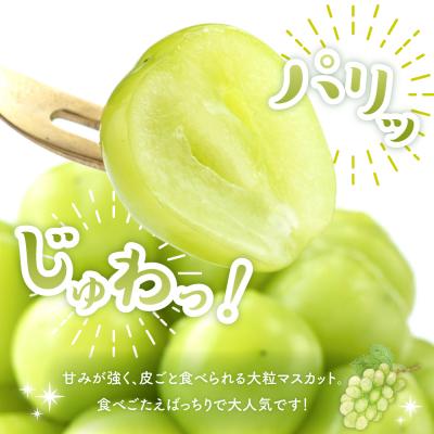 ふるさと納税 東根市 【2026年 先行受付】ぶどう「シャインマスカット」2房 (約1.3kg〜1.4kg) 山形県 東根 |  | 02
