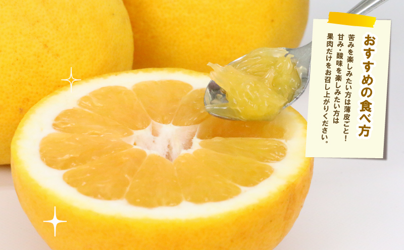 河内晩柑 贈答用 8.5kg 23～26玉 サイズ ミックス 不揃い 玉津みかん ニュービジネスユニット 先行予約 晩柑 かわちばんかん 和製 グレープフルーツ 高級 ギフト 贈答品 果物 フルーツ 