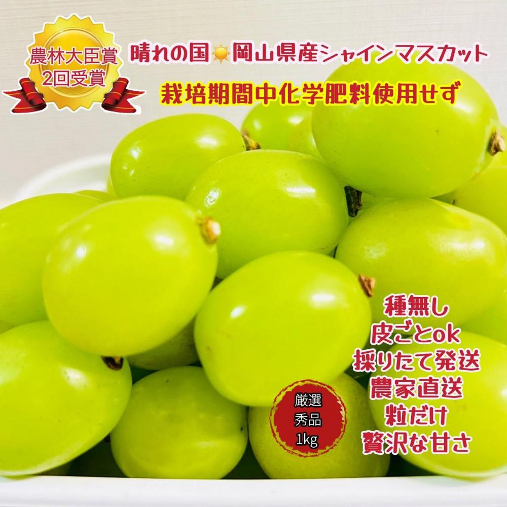 【ふるさと納税】ぶどう 2026年 シャインマスカット 厳選 秀品 粒だけ 約1kg 岡山 国産 果物 フルーツ 2026年7月上旬から発送 | フルーツ 果物 くだもの シャインマスカット マスカット 厳選 岡山県産 国産 ギフト 贈答用 プレゼント 贈り物