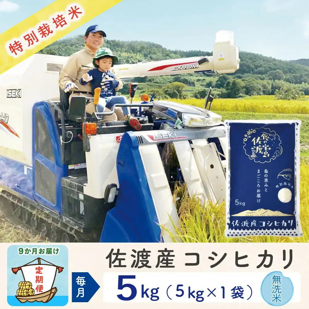  【定期便 9回】コシヒカリ 無洗米 5kg | 新潟県 佐渡市 コシヒカリ