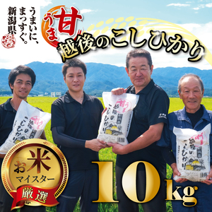  【令和6年産】 新米 コシヒカリ 10kg 5kg 2袋 甘うま越後の こしひかり 越後 えちご 特別栽培米 新潟 コメ こめ お米 米 しんまい 新潟県 新潟米 新発田市 新発田産 toushin014