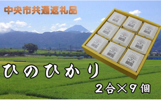 
【中央市共通返礼品】中央市産お米(ひのひかり)9個詰合せ [5839-1665]
