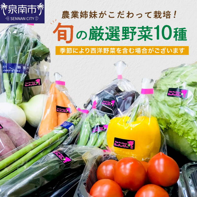 【ふるさと納税】農業姉妹がこだわって栽培！旬の厳選野菜10種 ふるさと納税 野菜 詰合せ セット 季節の野菜