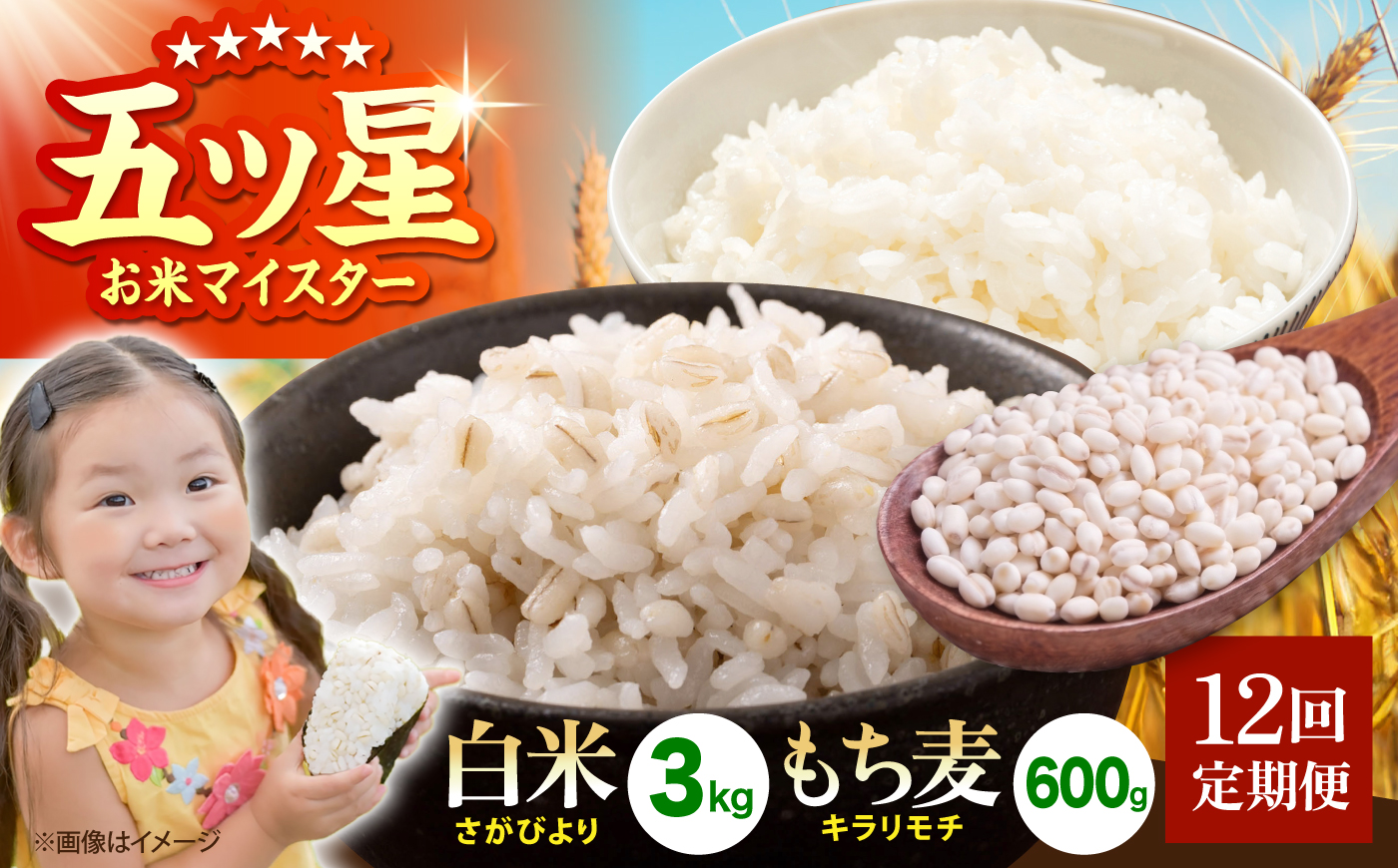 【全12回定期便】白米・もち麦セット（ さがびより3kg ・ キラリモチ 300g×2袋 ）【大塚米穀店】 麦 もち麦 米 精米 [HBL172]