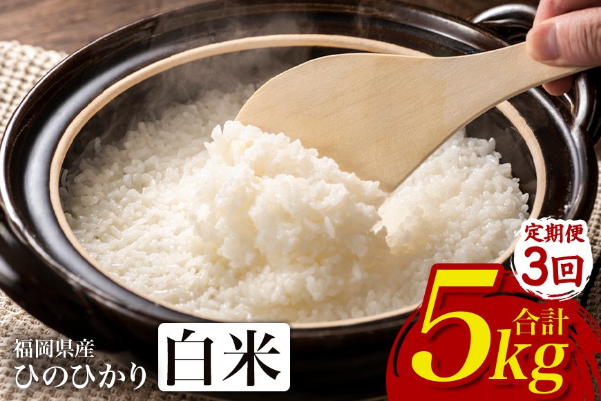 
                  【3回定期便】ひのひかり 米 お米 白米  5kg 5キロ 福岡県産 うきは市 国産 精米 ご飯 ごはん おにぎり お弁当 人気 おすすめ 家庭用 送料無料 令和7年度産 ストック 厳選 農家直送 大容量【JA福岡くるめ にじの耳納の里】
                