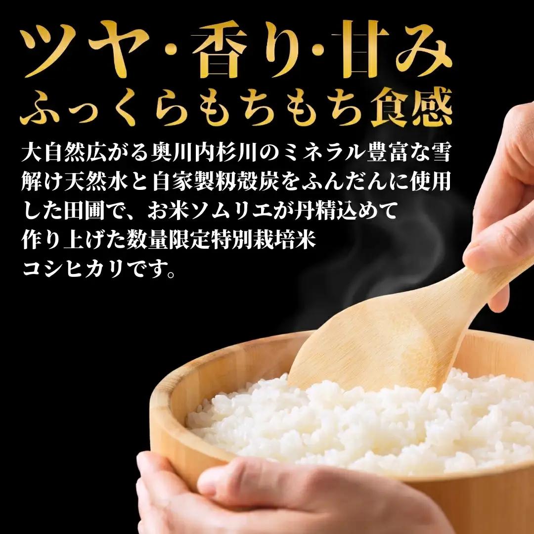 【定期便3回】令和8年産 新米 コシヒカリ 10kg×3回(計30kg) 特別栽培米 色彩選別済み 先行予約 | 新潟県産 米 五泉市