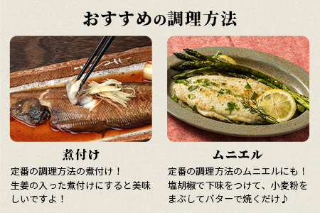 【ふるなび限定】【下処理済で簡単調理】有明海産 シタビラメ約150g×8尾【合計約1.2kg】煮つけ・唐揚げにおススメ【脂ののって美味しい】鮮度抜群 D-178 FN-Limited-SP