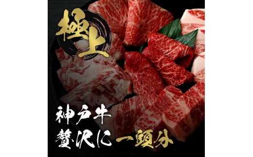 
                  【和牛セレブ】神戸牛一頭分のセレブ体験（一括納品コース）[1033]
                