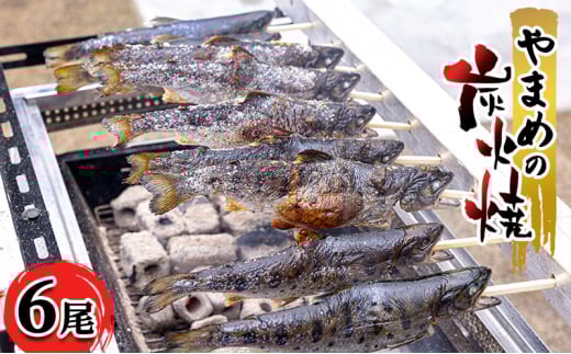 [№5895-0624]安芸高田 滝ヶ谷 やまめの炭火焼（6尾入り） 急速冷凍 魚 川魚 おかず つまみ