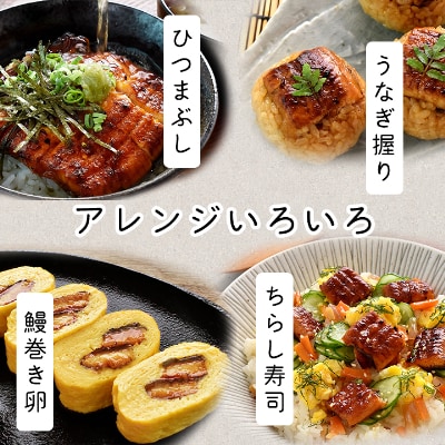 浜名湖・うなぎのたなかのふっくら柔らか国産うなぎ!特大長蒲焼3本、カット(小)1枚※合計595g程度【配送不可地域：離島】
