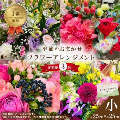 ふるさと納税 四万十市 【3回定期便】&lt;1級フラワー装飾技能士が厳選&gt;季節のおまかせフラワーアレンジメント【生花】(小)R6