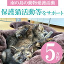 【ふるさと納税】【南の島の動物愛護活動】保護猫活動等をサポート（5万円）