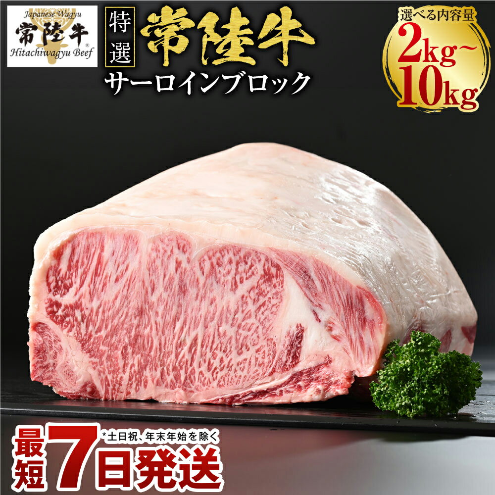 【ふるさと納税】＼レビューキャンペーン／【特選】常陸牛(ひたちぎゅう)A5等級 サーロインブロック 選べる容量 2kg～10kg （茨城県共通返礼品 茨城県産） 国産 ブランド牛 肉 お肉 牛肉 サーロイン ブロック ステーキ 選べる 冷蔵 茨城県 守谷市 送料無料