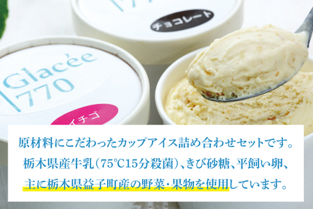 AB001　無添加アイスクリーム10個セット