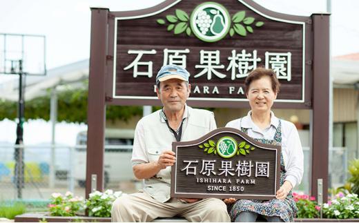 令和8年産 備前乙女米 20kg ( 白米 10kg + 玄米10kg）お米 精米 玄米 ライス 乳酸菌栽培 岡山県 石原果樹園