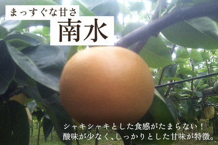 和梨 南水 3kg（6～8玉）《9月中旬から順次発送》果物 なんすい なし 梨 フルーツ 新鮮 ジューシー 産地 加茂市 樋口農園