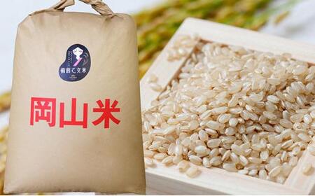 石原果樹園の備前乙女米 玄米 30kg×1袋 お米 ライス 乳酸菌栽培 岡山県 [No.5220-0759]