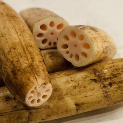 ふるさと納税 羽島市 【羽島市特産】羽島れんこん餃子(10個入)×5袋(合計50個) |  | 01