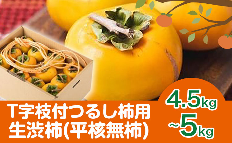 T字枝付つるし柿用生渋柿 4.5〜5kg ふるさと農園《10月下旬-11月下旬頃出荷》