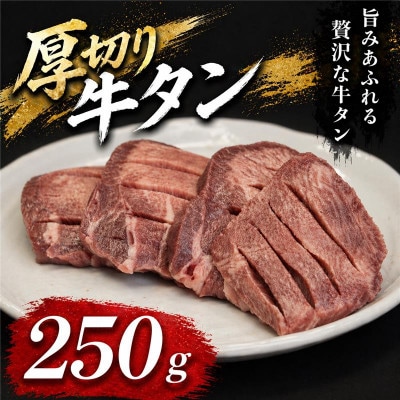 仙台名物　厚切り牛タン　鉄板の旨塩味　250g【配送不可地域：離島】【1705150】