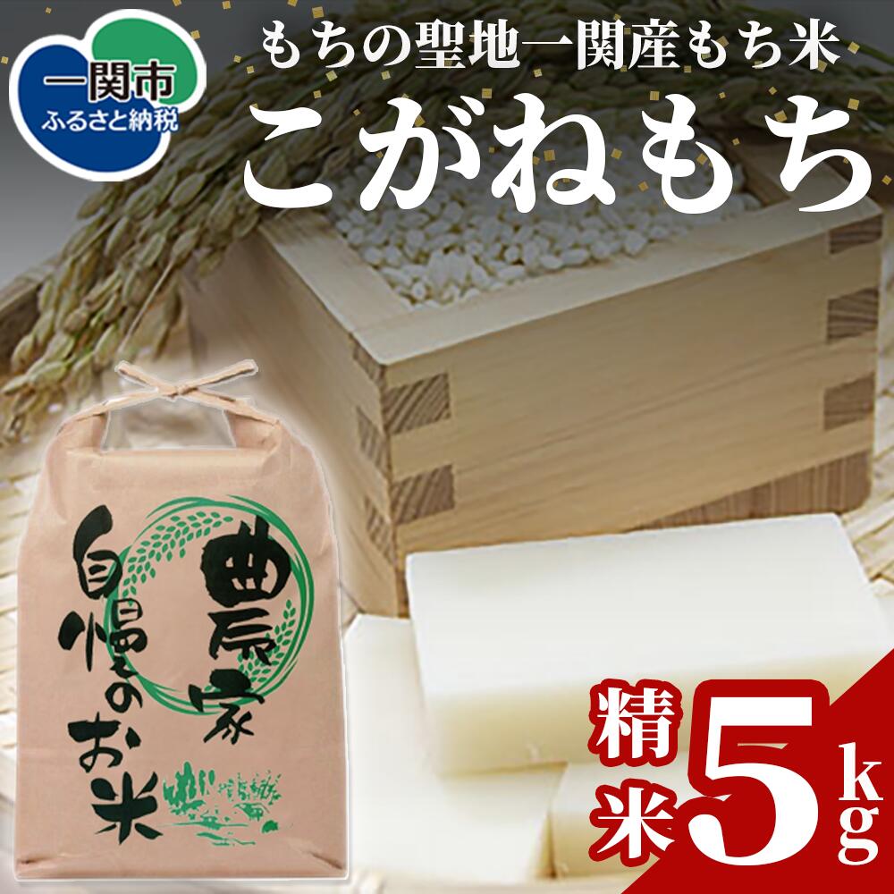 【ふるさと納税】こがねもち 精米 5kg 岩手県 一関市産 もち米 餅米 おいしい 国産 発送直前精米 精米したて お餅 赤飯 おこわ おはぎ だんご 和菓子 お菓子作り 年末年始 正月 行事食 伝統食 もちの里 一関 もち文化 産地直送