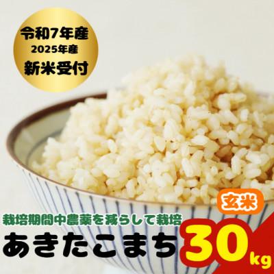 ふるさと納税 大仙市 《令和7年産 新米受付》栽培期間中農薬を減らして栽培した あきたこまち100%【玄米】30kg