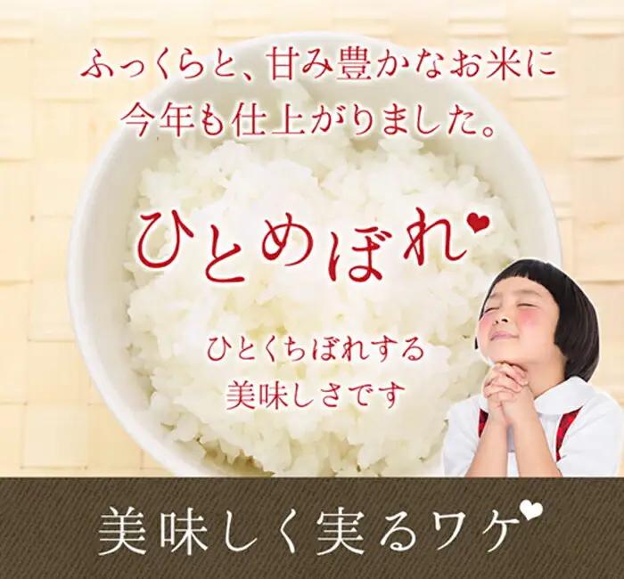 減農薬栽培　岩手花巻産ひとめぼれ無洗米５㎏ 【510】