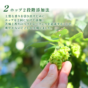 風味爽快ニシテ 500ml×24本 ビール 新潟 限定 ビイル サッポロビール サッポロ ご当地 取り寄せ 酒 お酒 さけ sake アルコール ギフト プレゼント 贈り物 セット お土産 人気 おす