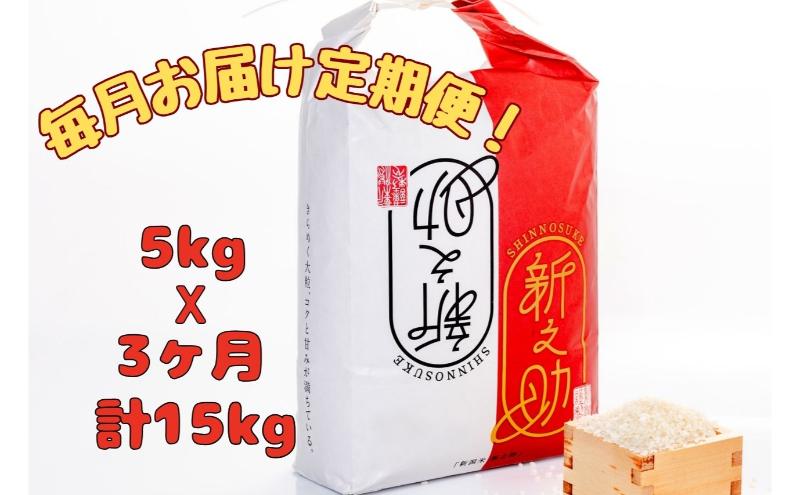 【通年受付】令和７年産【１０月発送開始！】魚沼産新之助　精米5kg　全3回 十日町市 十日町 米