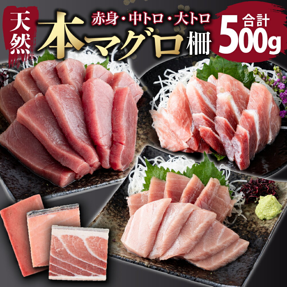 【ふるさと納税】【厳選天然本まぐろ】大トロ・中トロ・赤身 500g　天然まぐろ 天然マグロ まぐろ 鮪 刺身 お刺身用 サク 柵 スライス 切り落とし 高知 室戸 冷凍 瞬間冷凍 小分け 便利 tk075