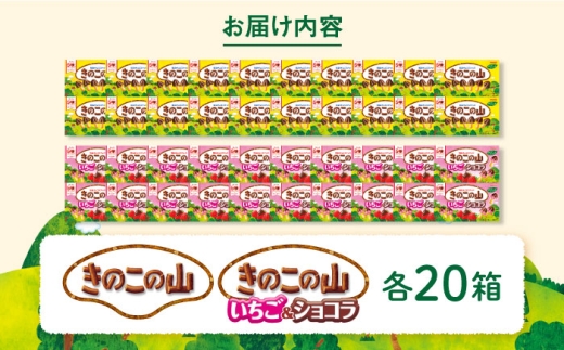 きのこの山 と きのこの山いちご＆ショコラ 各20箱（ 計40箱 ） お菓子 おやつ 菓子 おかし チョコ クッキー ビスケット きのこの山 いちご 苺 大容量 箱 バレンタイン ギフト プレゼント 詰め合わせ 詰合せ 食べ比べ 人気 おすすめ 定番 大阪府 高槻市 /株式会社丸正高木商店 [AOAA064]