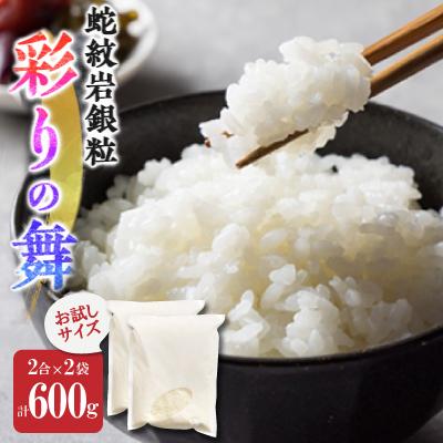 ふるさと納税 養父市 お試し!令和8年産〈先行受付〉9月より順次発送【蛇紋岩銀粒　彩りの舞】計600g(2合×2袋)
