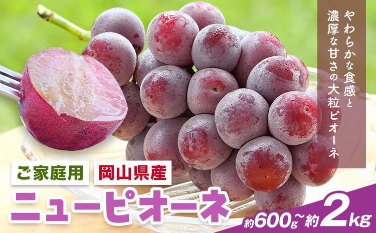 
            【2026年先行予約】岡山県産 ご家庭用 ニューピオーネ詰合せ 選べる 計600g～2kg 株式会社はちや《2026年8月下旬-9月下旬頃出荷》岡山県 浅口市 ぶどう 葡萄 フルーツ ギフト 果物 デザート 国産 送料無料【配送不可地域あり】
          