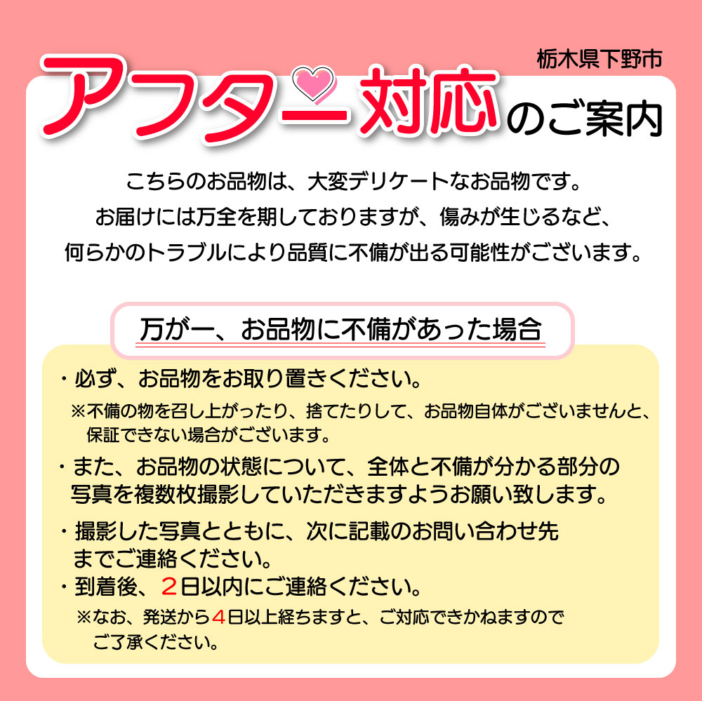 【2025年冬先行予約】日本一のいちご生産量を誇るJAはが野が厳選とちあいか平パック2P | 送料無料 栃木県 下野市  先行予約 いちご フルーツ 甘い ジューシー かき氷