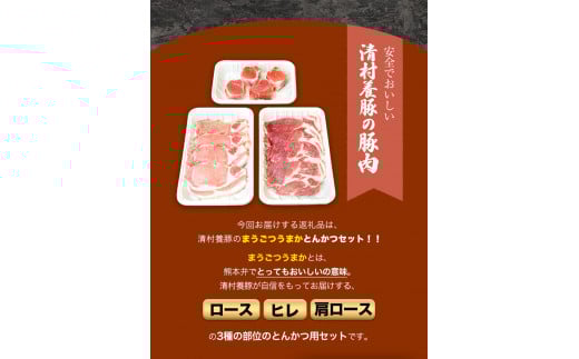 まうごつうまかとんかつセット 1kg 清村養豚《60日以内に出荷予定(土日祝除く)》 ロース ヒレ 肩ロース とんかつ かつ丼 ---sm_fkymau_60d_22_14500_1kg---