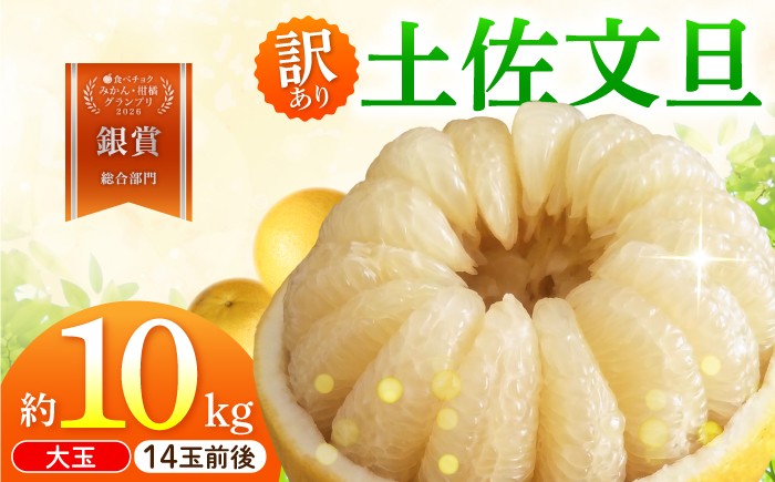 
                  【先行予約】文旦 家庭用大玉 10キロ 10kg（3Lサイズ以上～：14玉前後）〈2027年1月20日～発送〉皮むき器付き 文旦 ぶんたん 土佐 柑橘 高知県産 フルーツ お取り寄せ 訳あり 先行予約 高知県 土佐市【土佐水谷農園】[BQBD009]
                