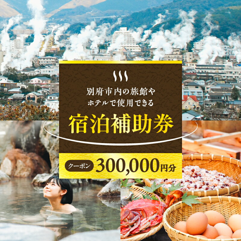 【ふるさと納税】楽しい旅の思い出を！ 宿泊券 大分県 別府市 ホテル 旅館 温泉 【300,000円分】 10,000円分×30枚 旅行 観光 トラベル 宿泊補助券 チケット 宿泊 お泊り 別府温泉 別府観光 大分観光 地獄めぐり 地獄蒸し料理 旅 有効期限1年間 体験型 節約