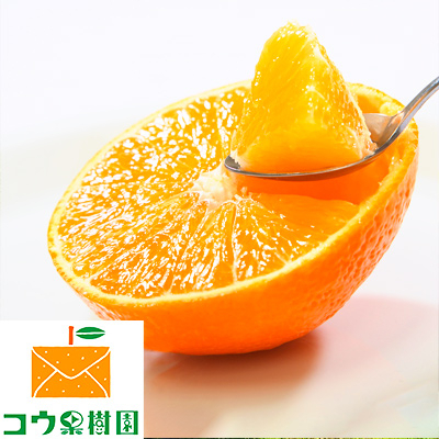 
            コウ果樹園「華まどんな」3kg＜D33-22＞【1051536】
          