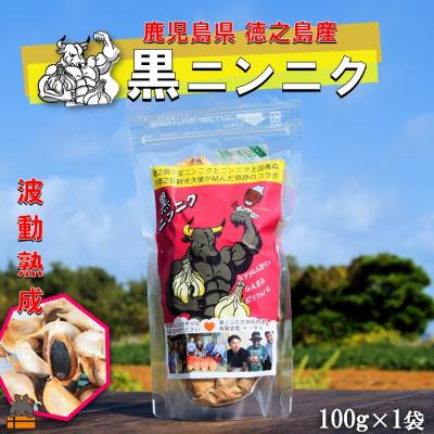ふるさと納税 徳之島町 こだわりの波動熟成! 鹿児島県徳之島産黒ニンニク(100g×1袋)