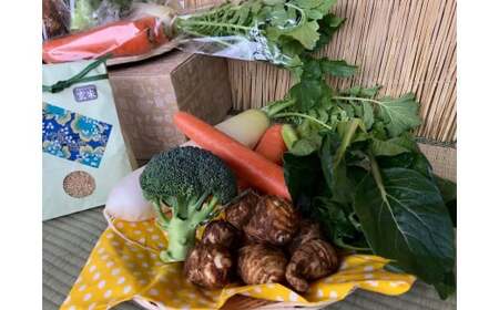  【栽培期間農薬不使用】玄米2kgと季節の野菜（4～5品）のセット 野菜 米 詰合せ 【2024年9月下旬より順次発送開始】