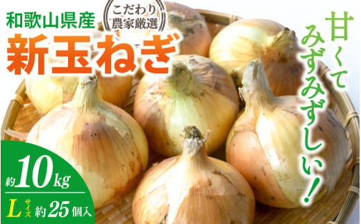 和歌山県産新玉ねぎ約10kg　Lサイズ 約25個入り　こだわり農家厳選！【 2027年4月末頃〜2027年6月中旬にかけて順次発送】人気 おすすめ たまねぎ 玉ねぎ 玉葱 タマネギ オニオン スープ サラダ 国産 野菜 新鮮 ビッグサイズ 大きい BBQ【kgr033】