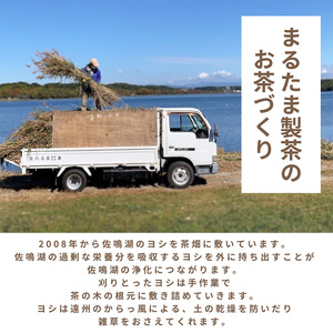 静岡県産のほうじ茶ティーバッグ【栽培期間中除草剤不使用】（30ヶ入り×2袋セット）