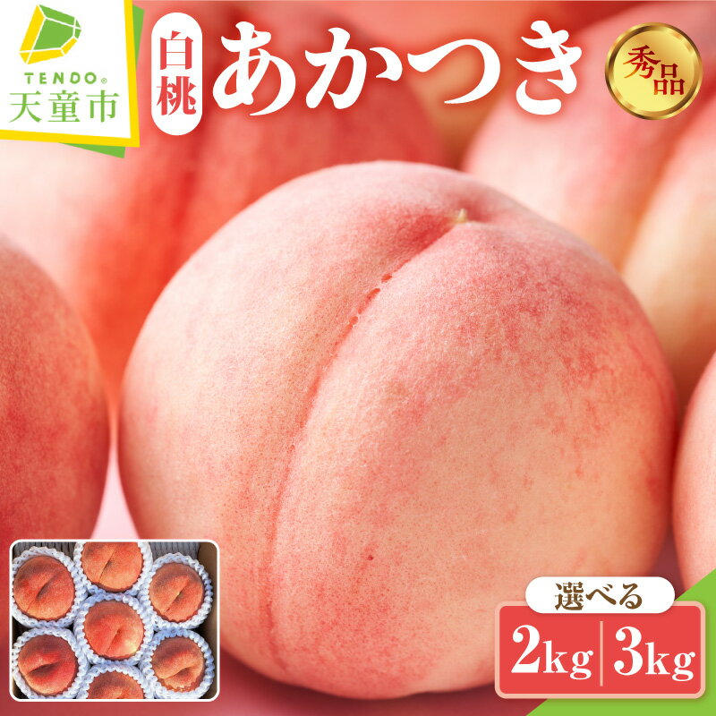 【ふるさと納税】もも ( あかつき ) 選べる 2kg / 3kg 先行予約 令和8年産 2026年産 白桃 桃 ピーチ peach 果物 くだもの フルーツ デザート 旬 冷蔵 ご家庭用 のし 贈答 ギフト プレゼント お取り寄せグルメ 産地直送 送料無料 【 山形県 天童市 】