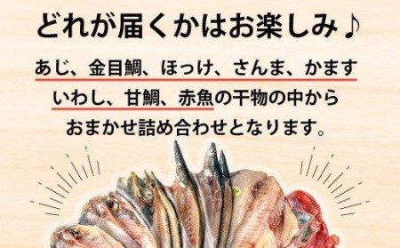 【価格改定予定】干物 おまかせ 詰め合わせ 9枚 セット 贈答用