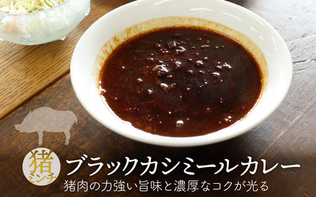 【能登・穴水産】天然ジビエカレー 3種食べ比べセット 計3袋（各250g 計750g）| ジビエ 猪肉 レトルト