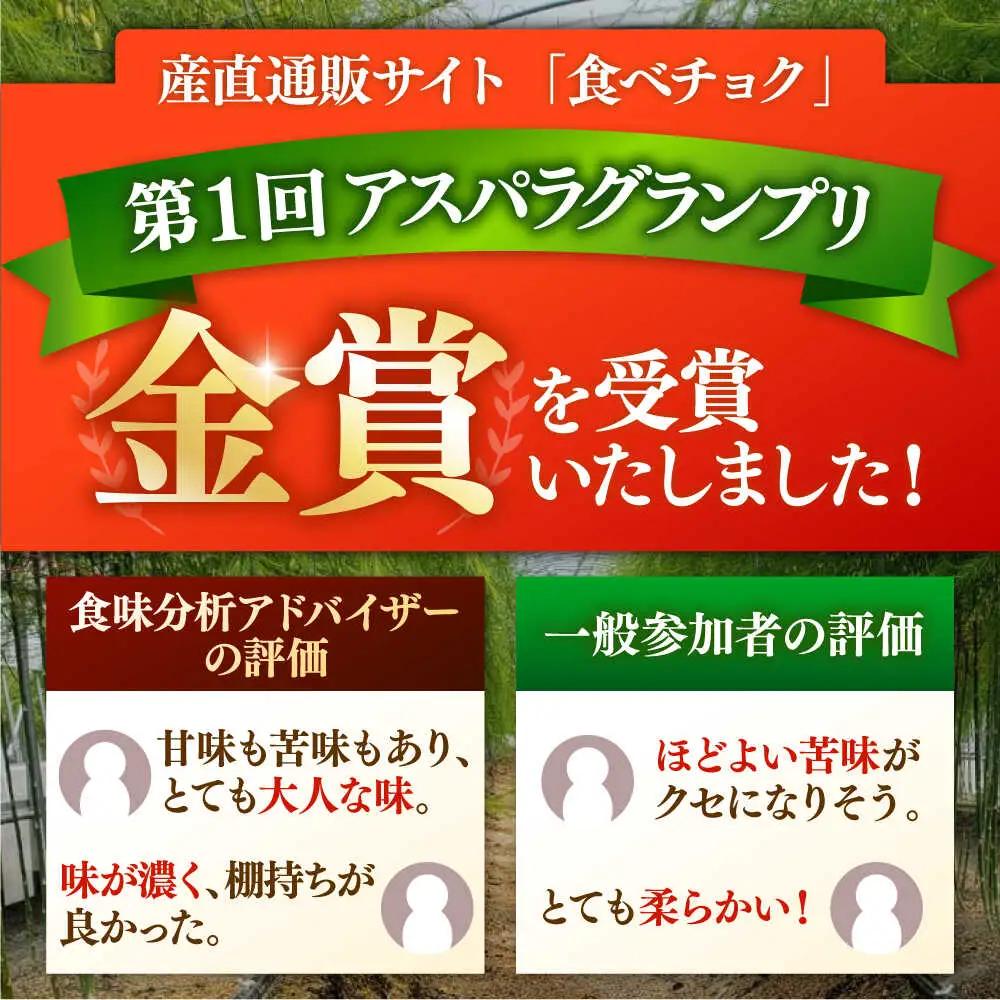 【先行予約 2027年3月～発送】春芽アスパラガス 約1kg / アスパラ [ICW001]