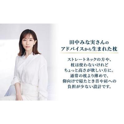ふるさと納税 国見町 エアウィーヴ ピロースリムmini| 【正規品】 日本製 快眠 高反発 洗える 枕 エアファイバー |  | 01